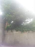 castlepark gate - 10820.jpg